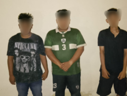 Tiga Pelaku Pencurian Kerbau Ditangkap Polsek Sungai Mas