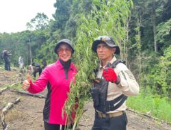Operasi Antik Seulawah 2026 Ungkap 20 Hektare Ganja di Aceh Besar