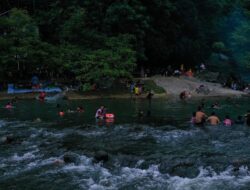 Buaya Muncul di Lokasi Wisata Krueng Sarah, Warga Diminta Waspada