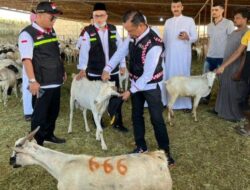 Baznas Buka Peluang Jamaah Haji Indonesia Bayar Dam di Tanah Air