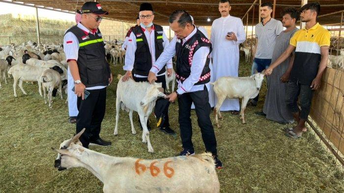 Baznas Buka Peluang Jamaah Haji Indonesia Bayar Dam di Tanah Air
