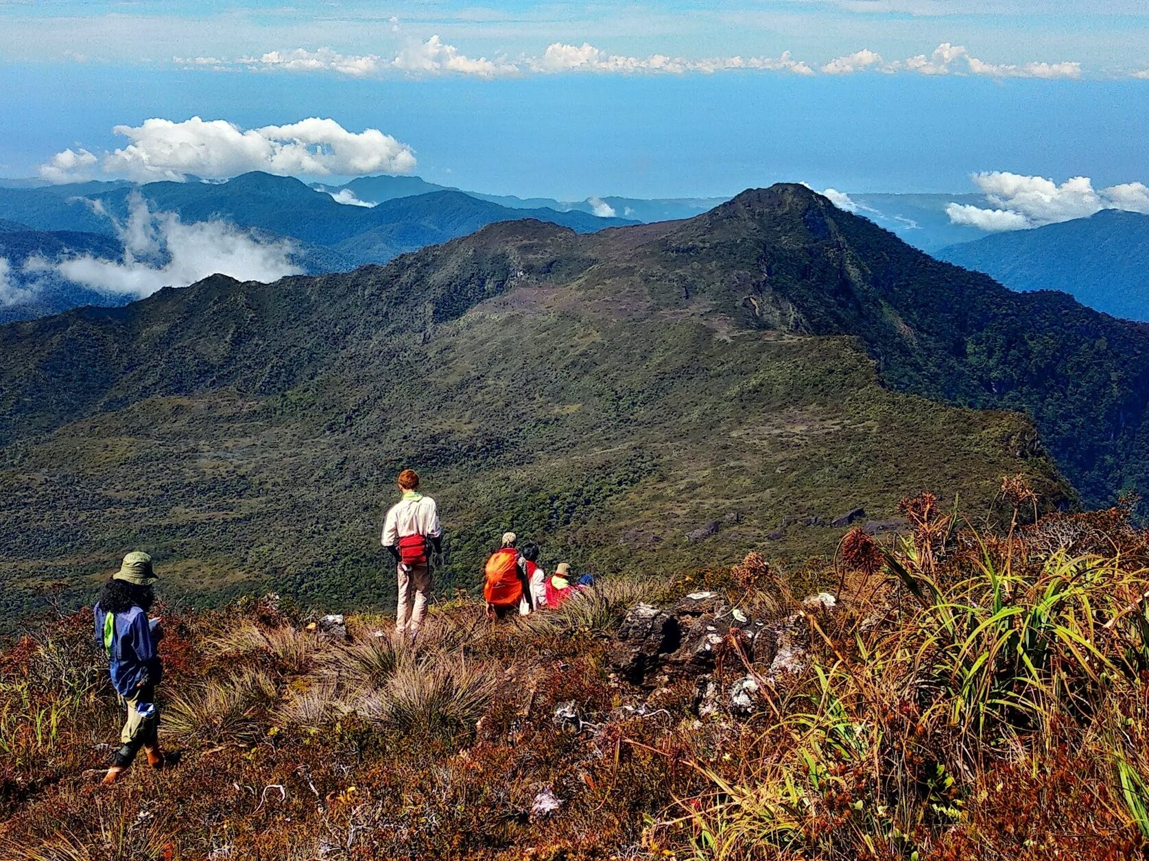 Pendaki Meninggal di Gunung Leuser, Butuh 5 Hari untuk Evakuasi Jenazah