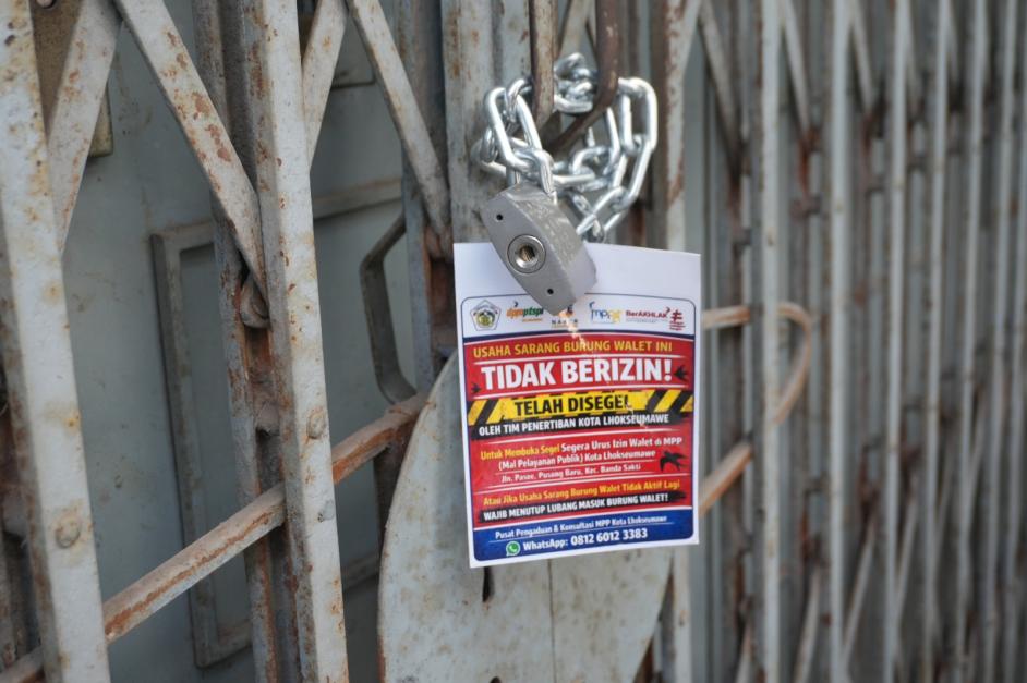 Usaha Walet Ilegal di Lhokseumawe Disegel dan Difogging