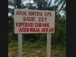 Warga Tolak Pengelolaan Lahan Sengketa di Seumanah Jaya