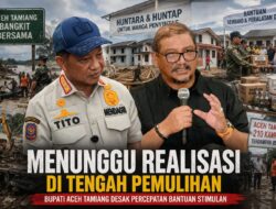 Menunggu Realisasi di Tengah Pemulihan