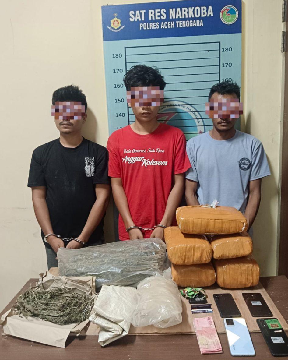 Penggerebekan di Ketambe, Polisi Amankan Tiga Pria dan 11,35 Kg Ganja