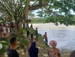 Pekerja Koperasi Hilang Diduga Tenggelam di Sungai Lae Soraya