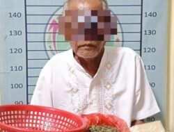 Simpan Ganja 203 Gram, Lansia di Aceh Tenggara Ditangkap