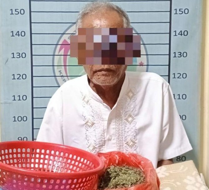 Simpan Ganja 203 Gram, Lansia di Aceh Tenggara Ditangkap