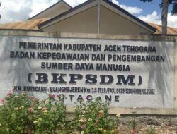 Pemkab Aceh Tenggara Usulkan 2.614 PPPK Paruh Waktu, 180 Calon Terancam Gagal
