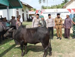 Sambut Idul Adha, Kapolda Aceh Beri Hewan Kurban ke Dayah Al Maimanah