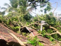 Satu Keluarga Mengungsi akibat Pohon Tumbang di Lembah Seulawah