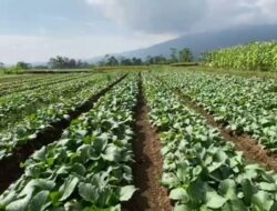 BDN Bangun Percontohan Badan Dapur Nasional di Sabang
