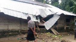 Rumah Tertimpa Pohon