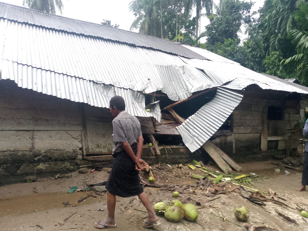 Rumah Tertimpa Pohon
