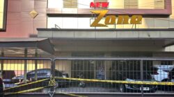 THM New Zone