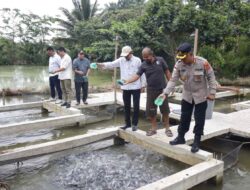 Wujudkan Ketahanan Pangan, Polres Subulussalam Panen 5 Ton Ikan Lele