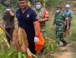 Hilang 10 Hari, Sahila Khairunisa Ditemukan Tak Bernyawa di Kebun Warga