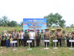 Panen Raya Jagung Serentak, Polri Gandeng UMKM Olah Tongkol Jadi Briket