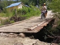 Jembatan Papan di Lawe Sigala-Gala Dinilai Membahayakan Pengguna Jalan