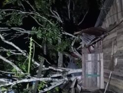 Angin Kencang di Abdya Tumbangkan Pohon, Rusak Balai Pengajian dan Rumah