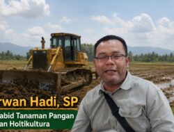 Aceh Tamiang Pulihkan Ratusan Hektare Sawah Terdampak Banjir Bandang