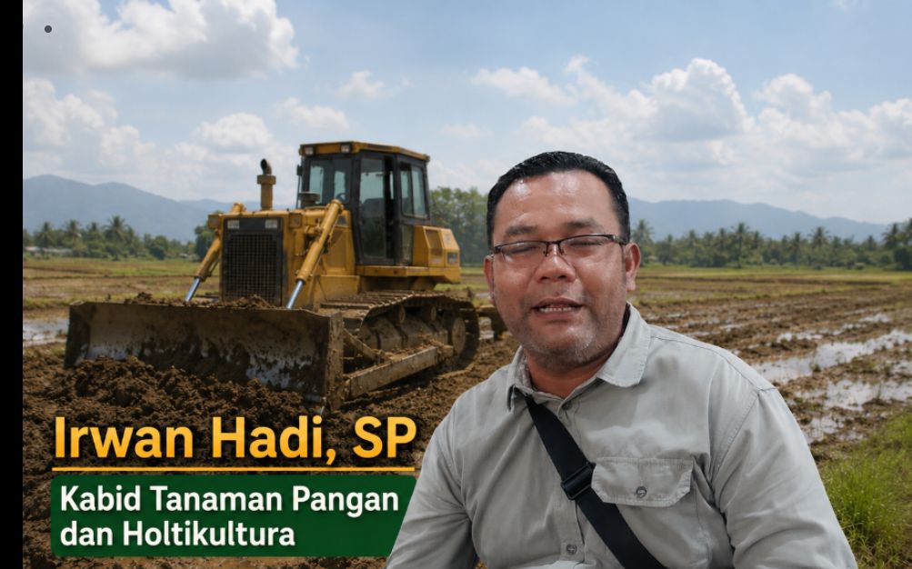 Aceh Tamiang Pulihkan Ratusan Hektare Sawah Terdampak Banjir Bandang