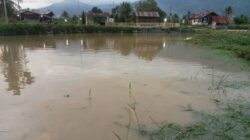 Warga Deleng Pokhisen Terdampak Banjir, Desak APH Tindak Illegal Logging