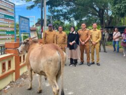 Illiza Serahkan Hewan Kurban ASN untuk Warga di Banda Aceh