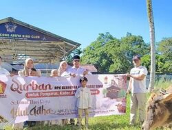Idul Adha 1447 H, DPC Partai Gerindra Abdya Sembelih Dua Sapi Kurban