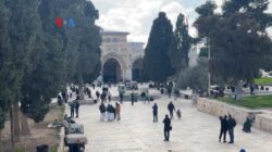 masjid al-aqsa