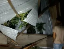 Pohon Tumbang Timpa Rumah Warga Akibat Cuaca Buruk