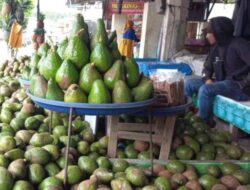 Bener Meriah Didorong Terbitkan Regulasi Lindungi KI Daerah