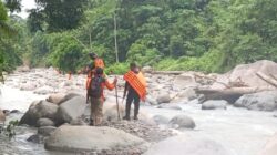 Cari korban hilang
