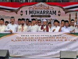 Deklarasi DOB Peureulak Raya Dihadiri Ribuan Warga, Bupati Siap Mendukung