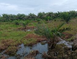 Polisi Blokir Lima Rekening Terkait Kasus Korupsi PSR di Simeulue