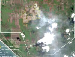 Karhutla di Nagan Raya Hanguskan 334 Hektare Lahan Gambut