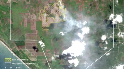 Gambut Terbakar