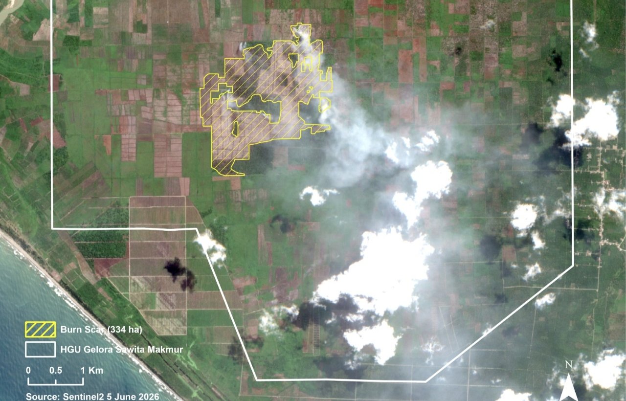 Gambut Terbakar