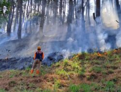 Polisi Buru Terduga Pelaku Pembakaran Lahan di Aceh Tengah
