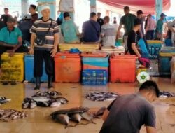 Harga Ikan Mahal Akibat Minimnya Pasokan dari Nelayan