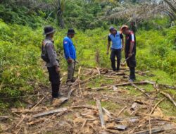 Gajah Liar Rusak Kebun Warga Trans Lango