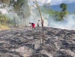 Aktivitas Bakar Lahan Picu Karhutla di Aceh Tengah