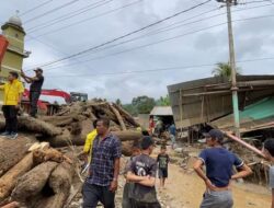 Banjir Bandang dan Harga Mahal Kerusakan Hutan