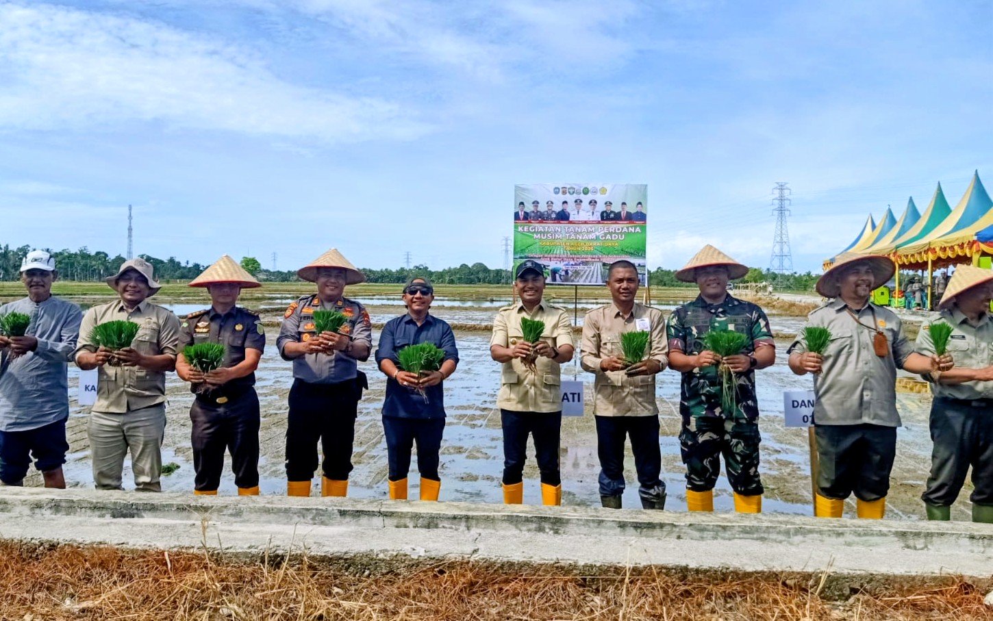Abdya Mulai Tanam Padi MT Gadu 2026, 80 Persen Lahan Siap Garap