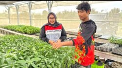Dari Lumpur ke Panen, Kisah Abdul Rozak Bangkit Setelah Banjir Bandang