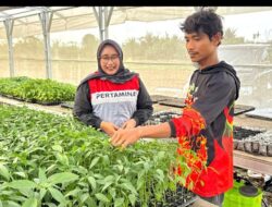 Dari Lumpur ke Panen, Kisah Abdul Rozak Bangkit Setelah Banjir Bandang