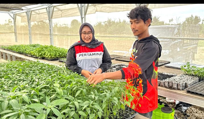 Dari Lumpur ke Panen, Kisah Abdul Rozak Bangkit Setelah Banjir Bandang