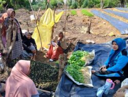 PKK Subulussalam Dorong Penguatan Ketahanan Pangan Berbasis Keluarga