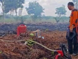 Yayasan HAkA: Karhutla di Bubon Hanguskan 280 Ha Lahan